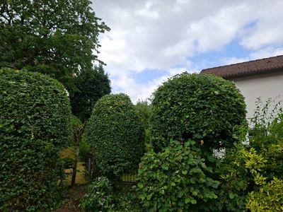 Derselbe Garten nach der Pflege durch LeafLab: gemähter Rasen, geschnittene Hecken und aufgeräumte Beete.