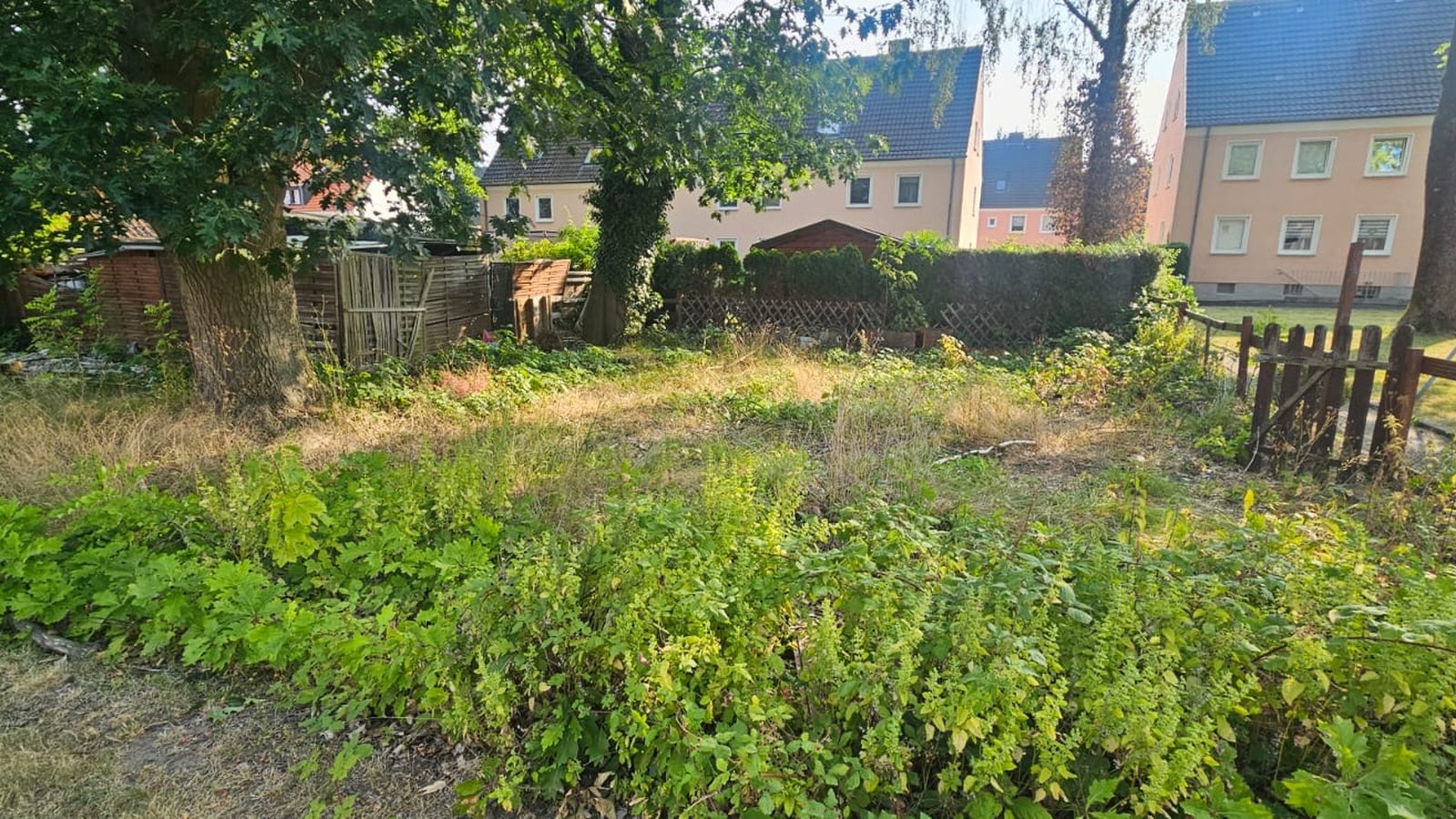 Verwildertes Grundstück vor der Gartenpflege durch LeafLab